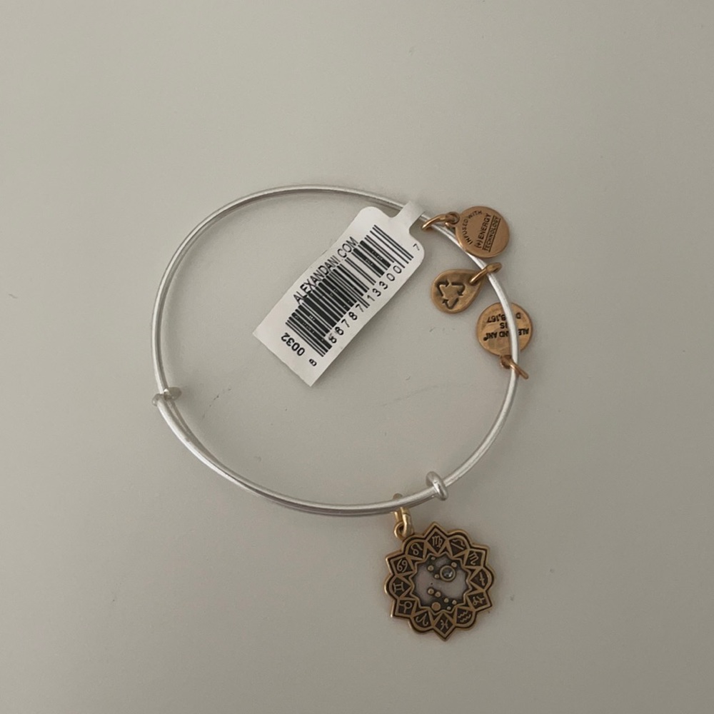 Alex and Ani Leo bangle